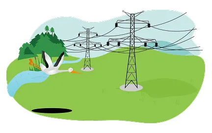 Illustration of electrical transmission towers and power lines across a green landscape with trees and a river