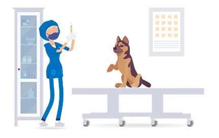 Veterinarian in blue uniform holding a syringe next to a brown dog sitting on an examination table